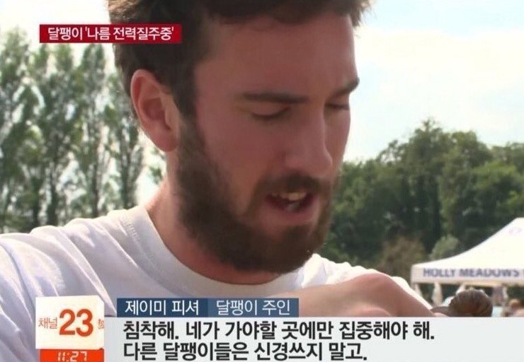 김포 tweet media