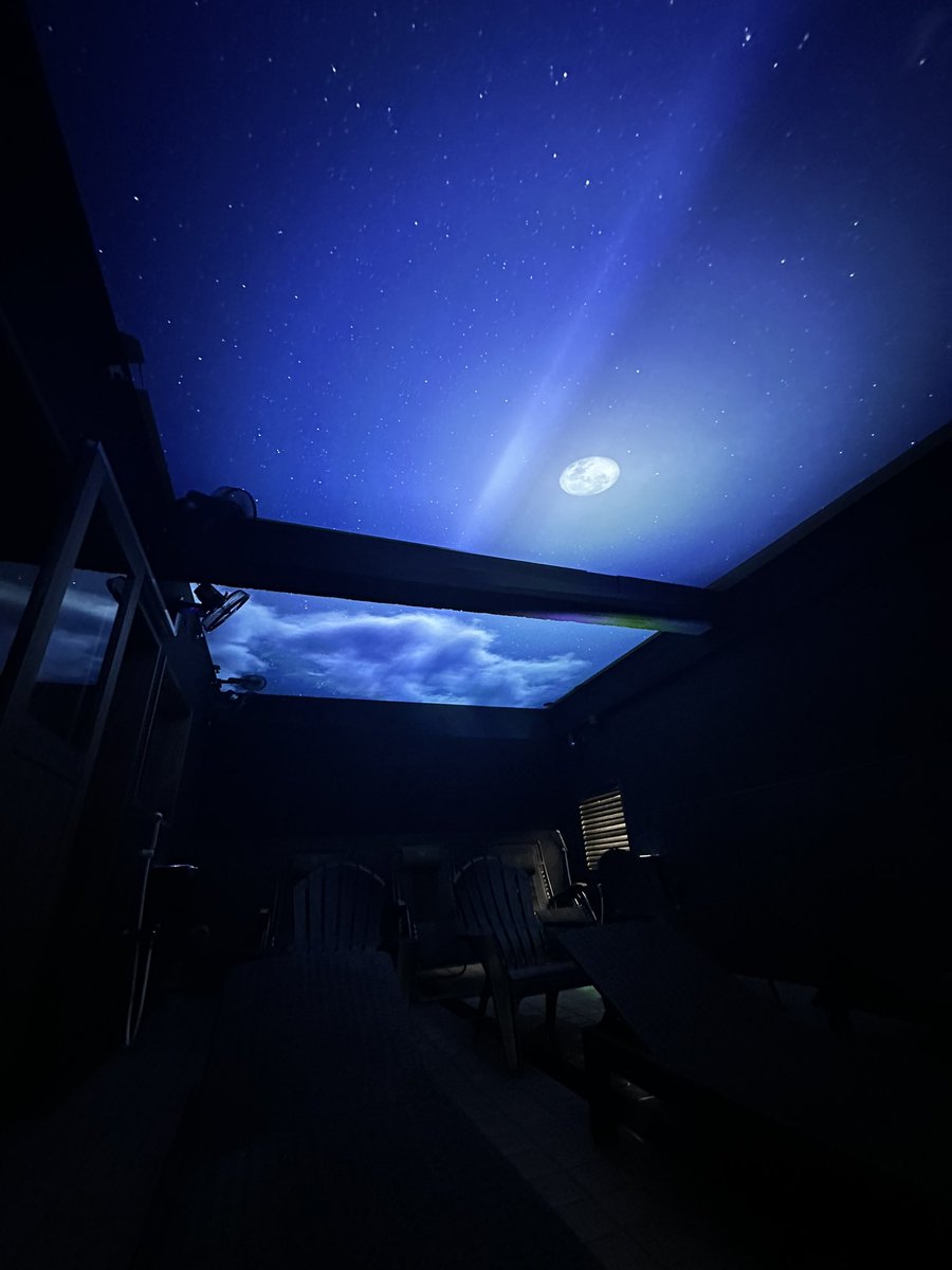 うー太郎❤️‍🔥@変態サウナー倶楽部S.W.A.T.®︎ tweet media