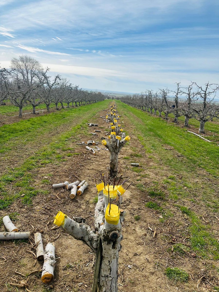 United Farm Workers tweet media
