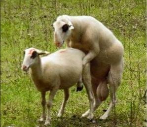 First Name tweet media