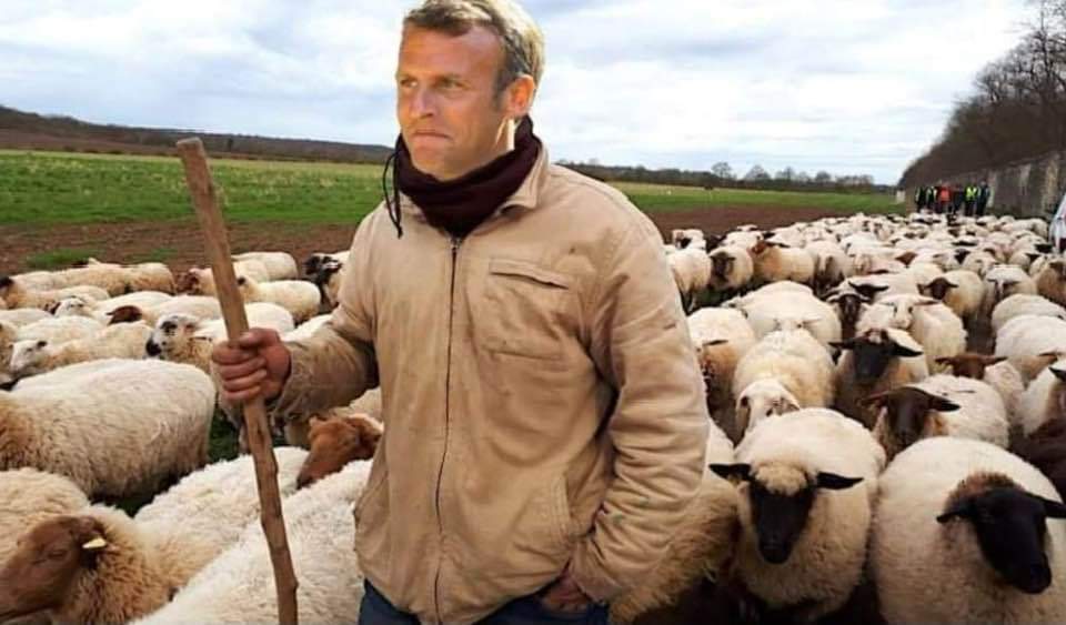 First Name tweet media