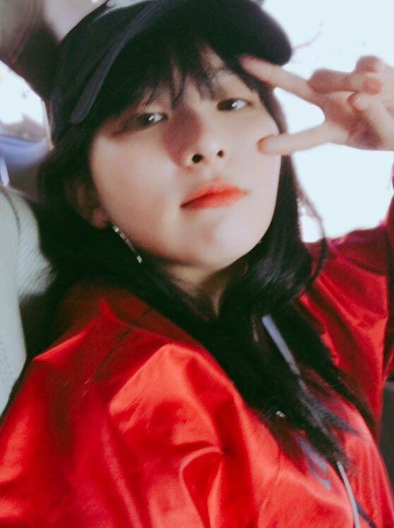 seulgi’s pics tweet media