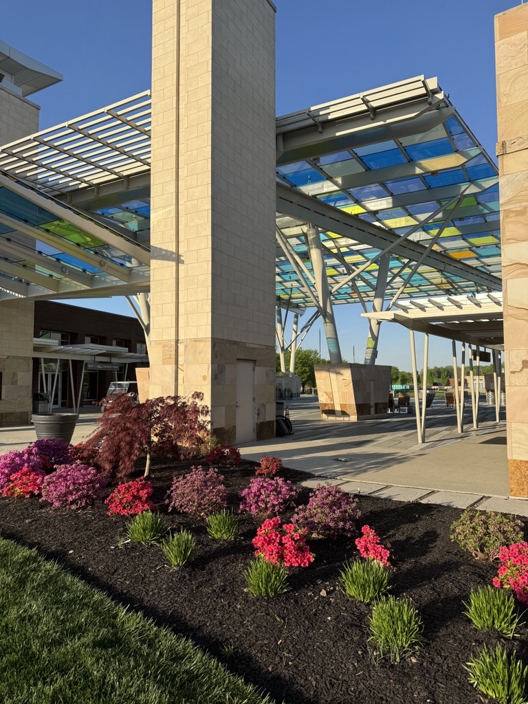 summitblueash's tweet photo. Just showing off some fresh Summit blooms 🌸✨ https://t.co/ityzN6m0oA
