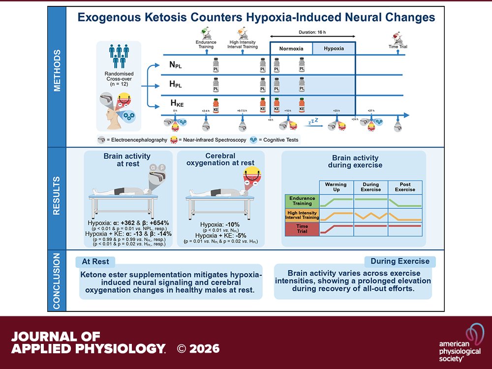 japplphysiol's tweet image. Research Article by N Vermaerke et al. (@DebevecTadej @Chiel_Poffe @RubenRBRS @MyrtheStalmans @DomenTominec) Exogenous #ketosis mitigates #hypoxia-induced #neuralsignaling alterations and #cerebraloxygenation decline at rest in healthy males
ow.ly/h4Yl50YFNVc