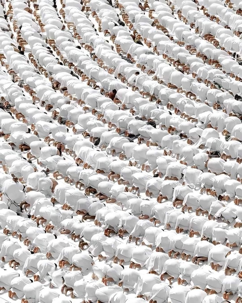 #العمرة في #ذي_القعدة أفضل من غيرها إلا رمضان.
[ابن باز]

بل رُوي عن طائفة من السلف أنهم فضَّلوها على عمرة رمضان، منهم ابن عمر وعائشة وعطاء.