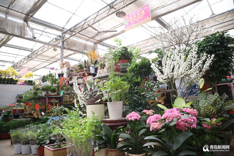 Temuri Pachulia tweet media