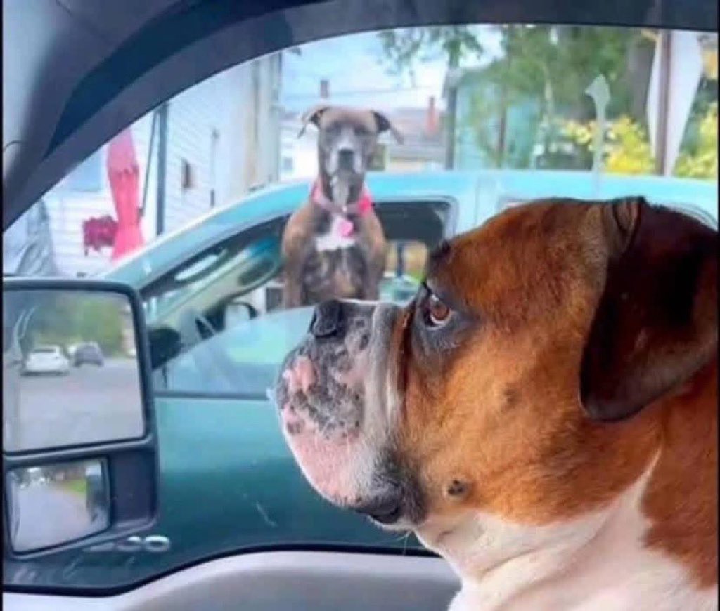 Becky peck tweet media