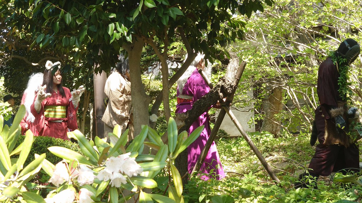 ♠️- 波旬 -♠️ tweet media