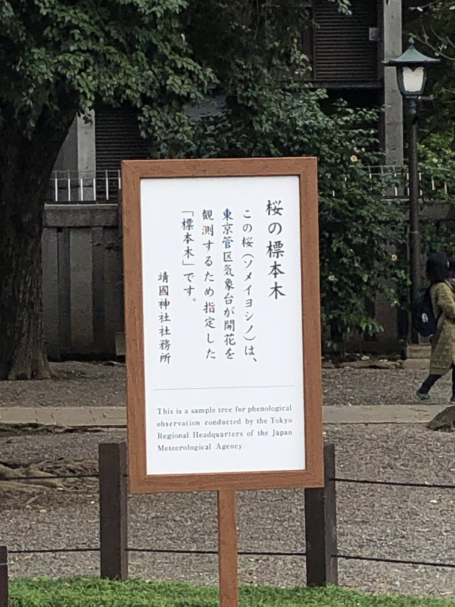 JUNKO YANO 矢野純子 tweet media