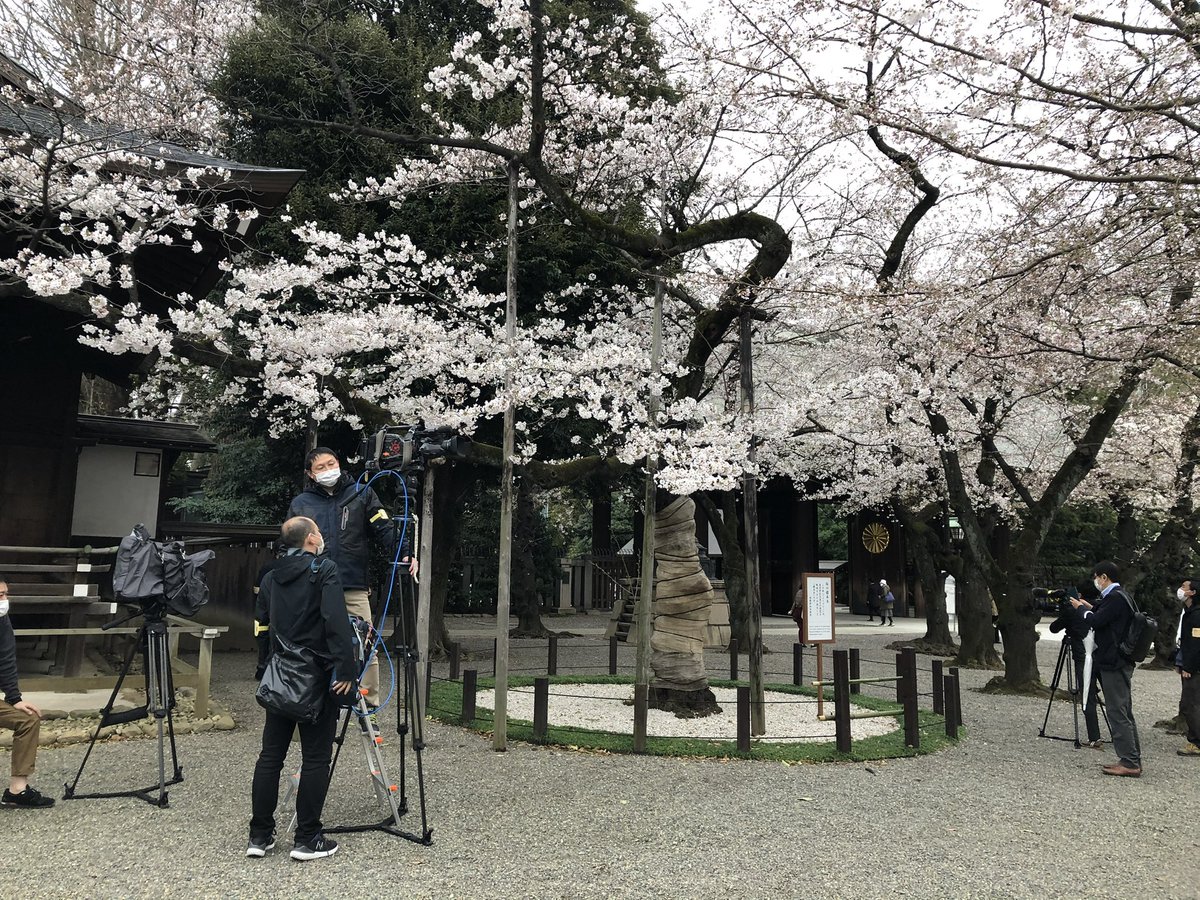 JUNKO YANO 矢野純子 tweet media