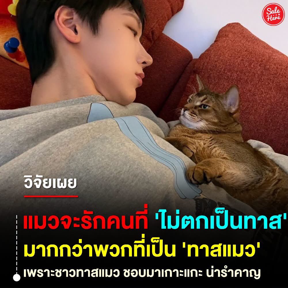 Sale Here - อะไรลดเรารู้ tweet media