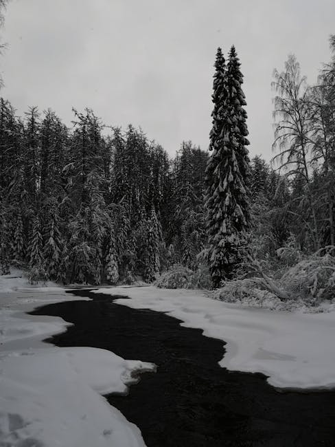 Adam Ingram tweet media