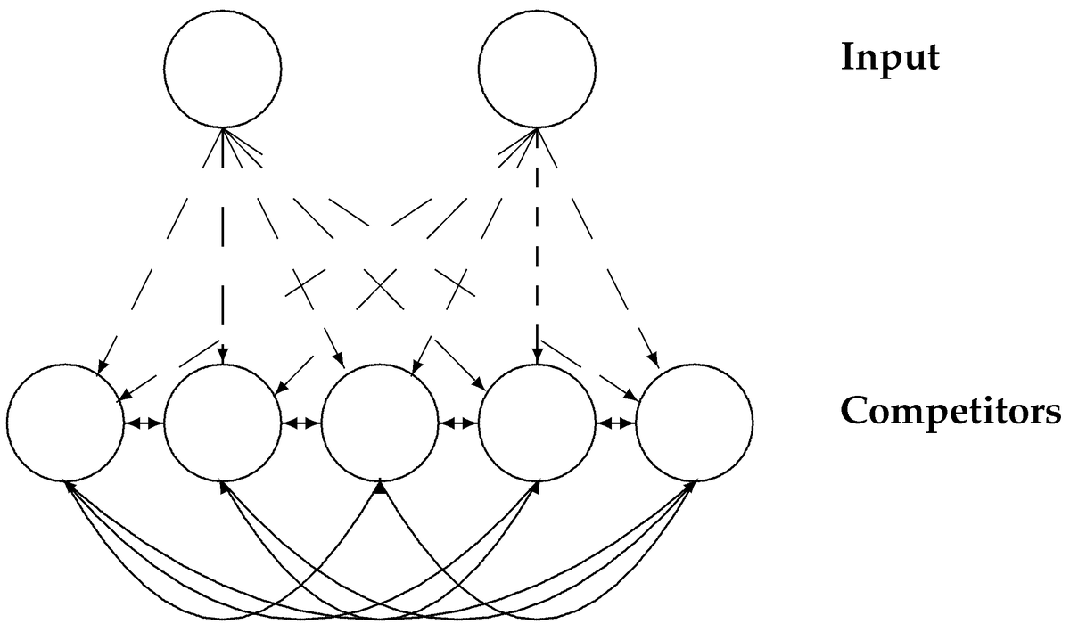 Dynamics MDPI tweet media