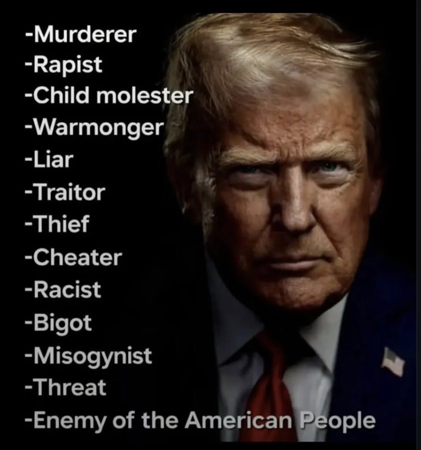 Voices of Democracy tweet media