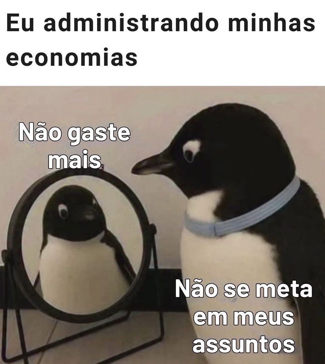 Pagina lixo tweet media
