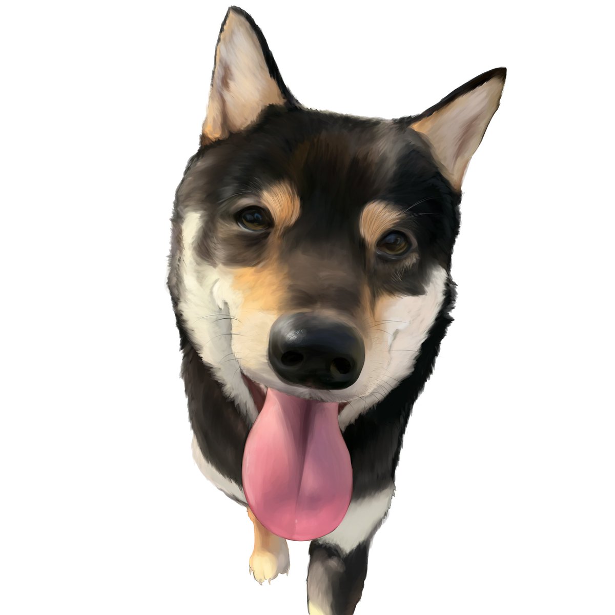 iruma_kunOO's tweet image. Emerency commission!

Only $15!
I only have 10 days left! #commsopen #pets #PlsHelp #comission #EmerencyComission #artㅤㅤㅤㅤ #pets