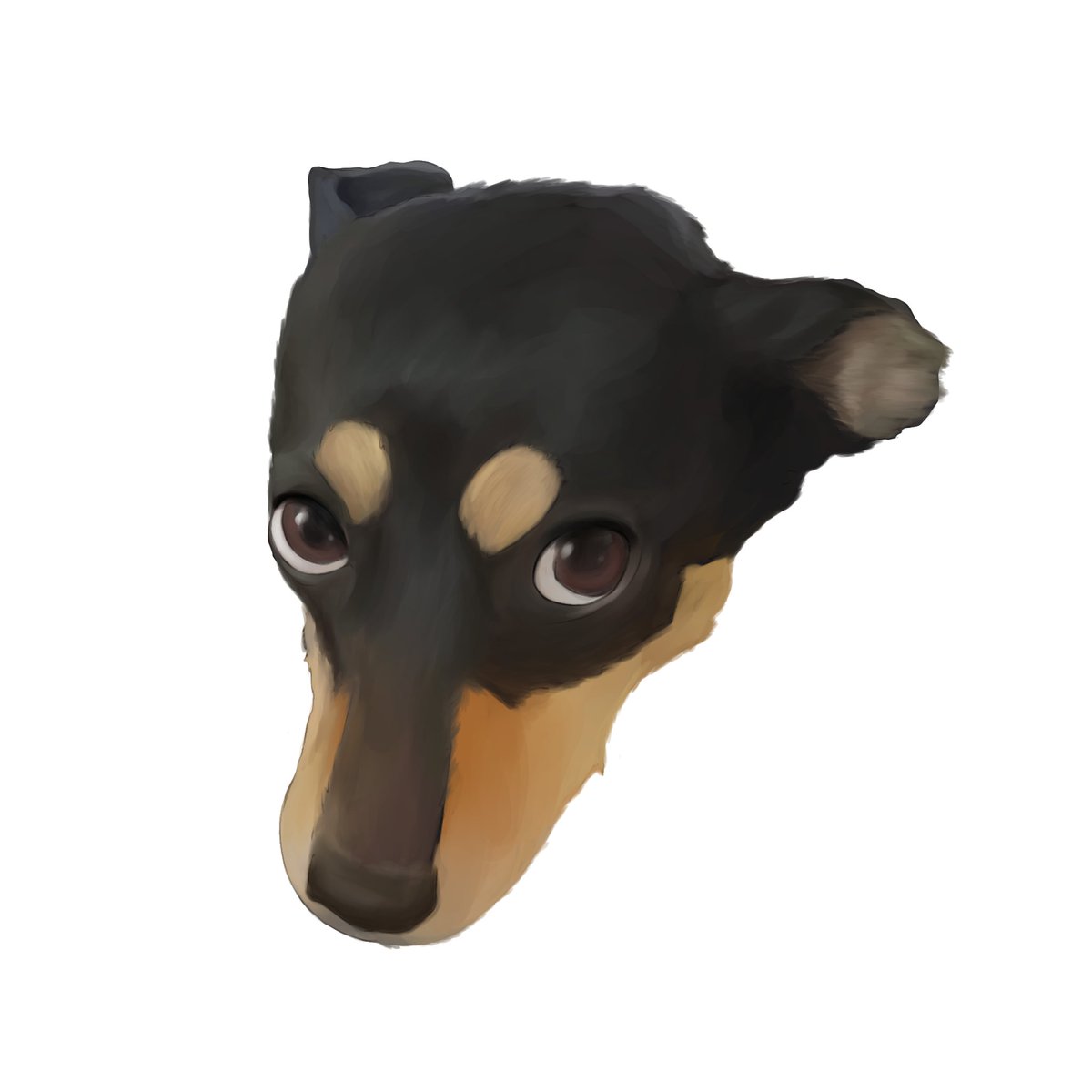 iruma_kunOO's tweet image. Emerency commission!

Only $15!
I only have 10 days left! #commsopen #pets #PlsHelp #comission #EmerencyComission #artㅤㅤㅤㅤ #pets