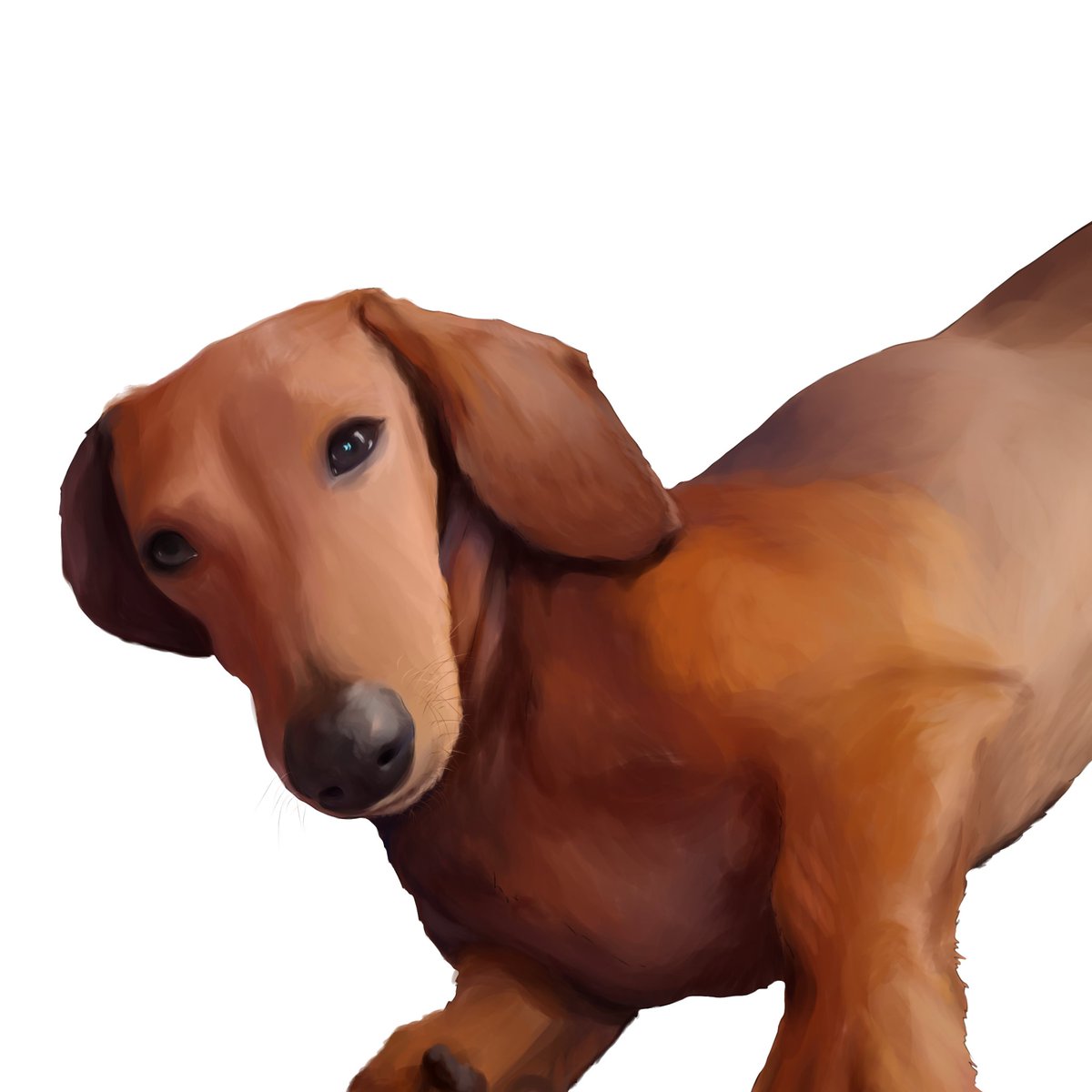 iruma_kunOO's tweet image. Emerency commission!

Only $15!
I only have 10 days left! #commsopen #pets #PlsHelp #comission #EmerencyComission #artㅤㅤㅤㅤ #pets