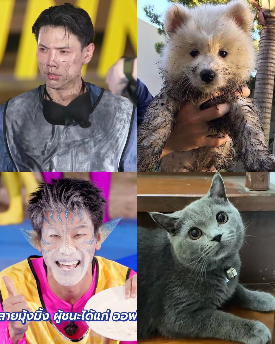 vipcodao ⭐ tweet media