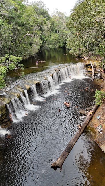 Lauren Hayes tweet media