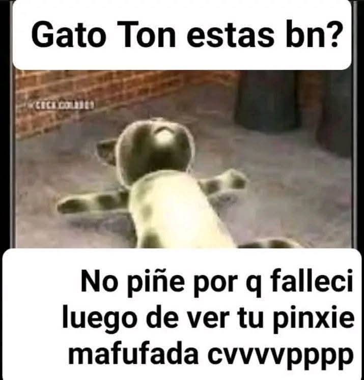 Deoz Hielos #Loneros🏴☠️☢️ tweet media