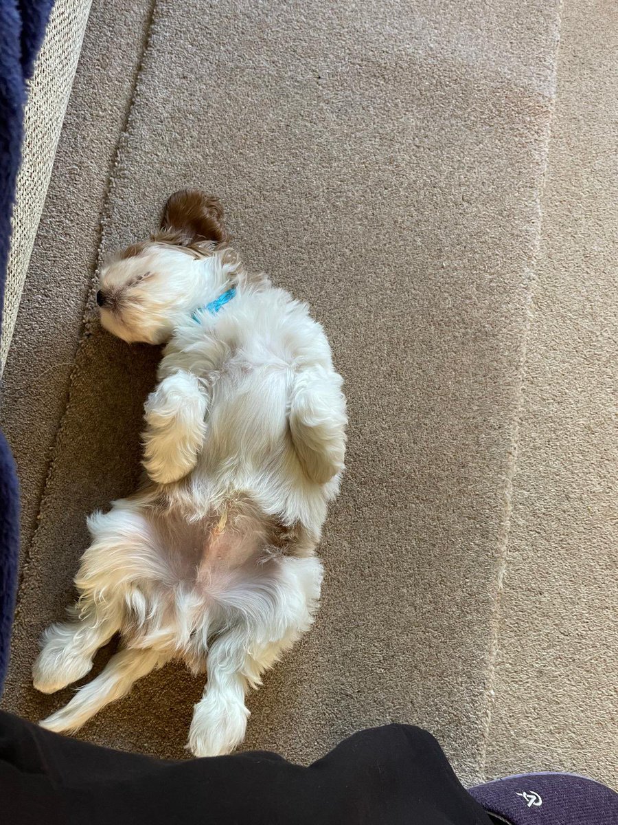 Abbie 🧬 tweet media
