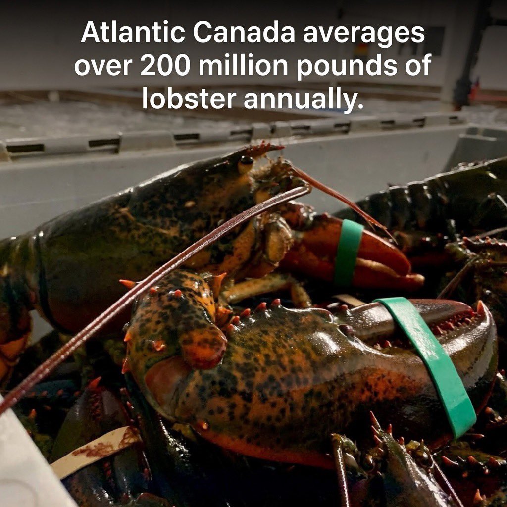 Atlantic Canada Seafood Group tweet media