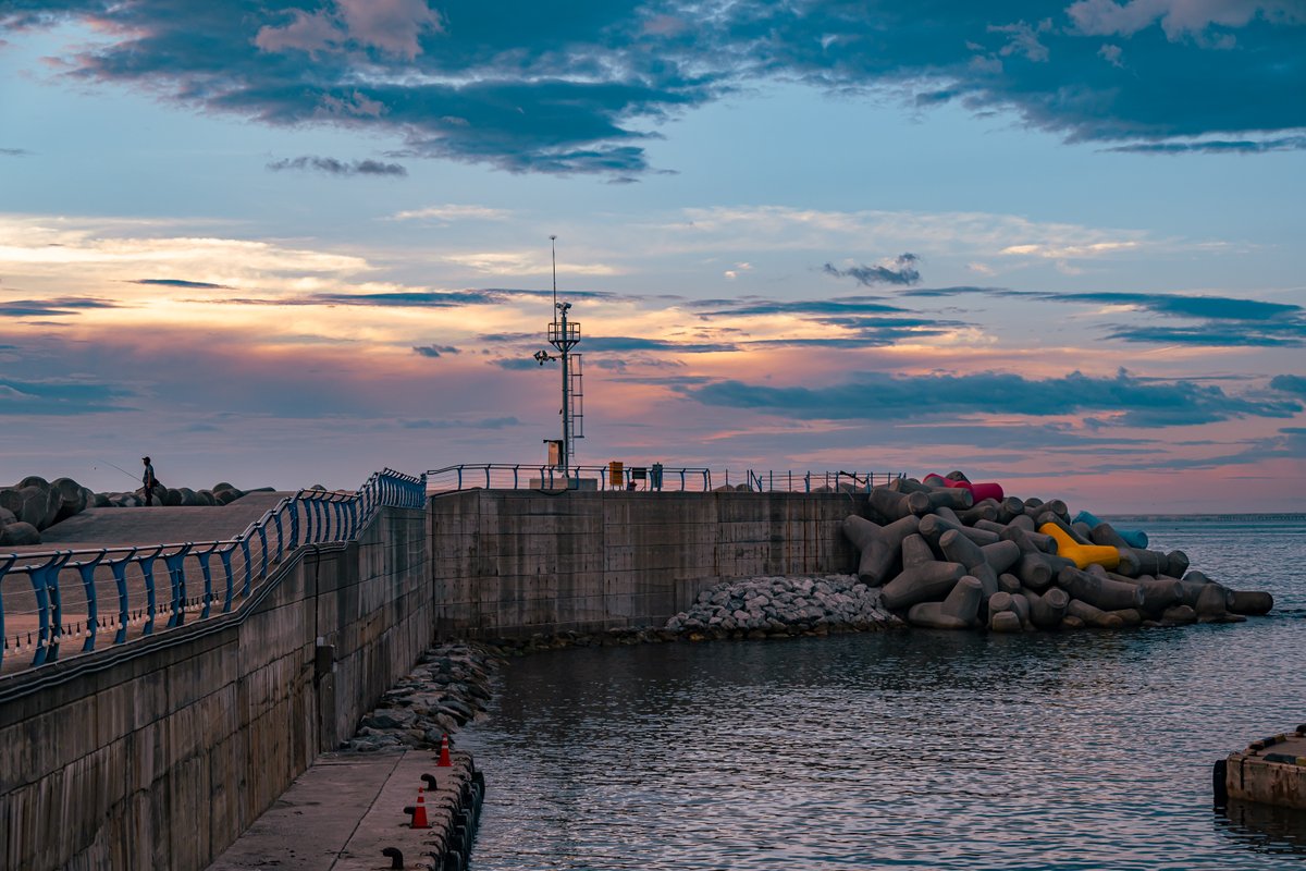 teslachoi테초이 tweet media