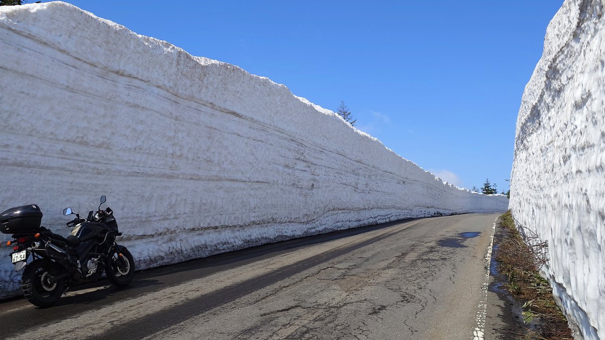 ピースしようぜv(･∀･)yaeh! tweet media