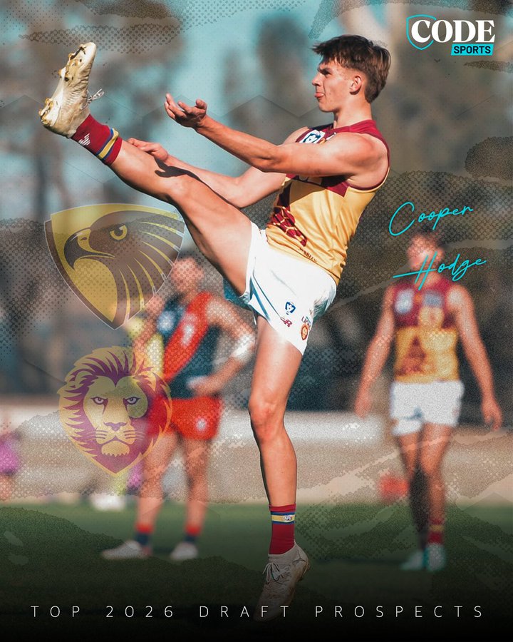 Hawkthorn tweet media