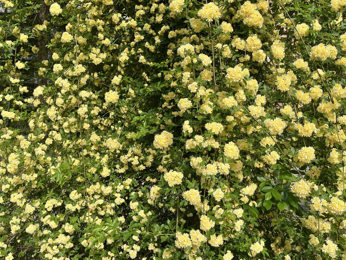 みなみ tweet media