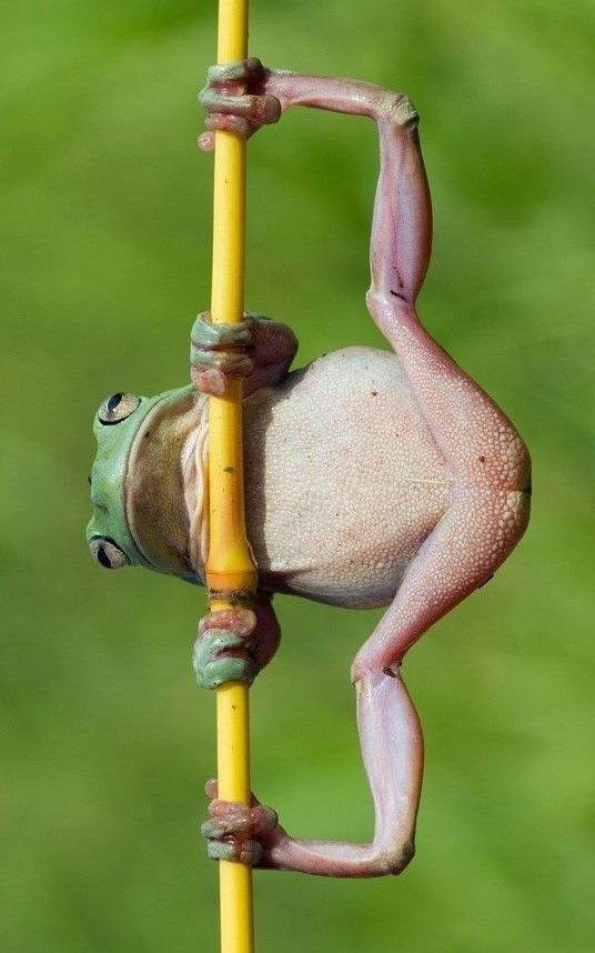 Sangwoo: *breaths*
Yoonbum: