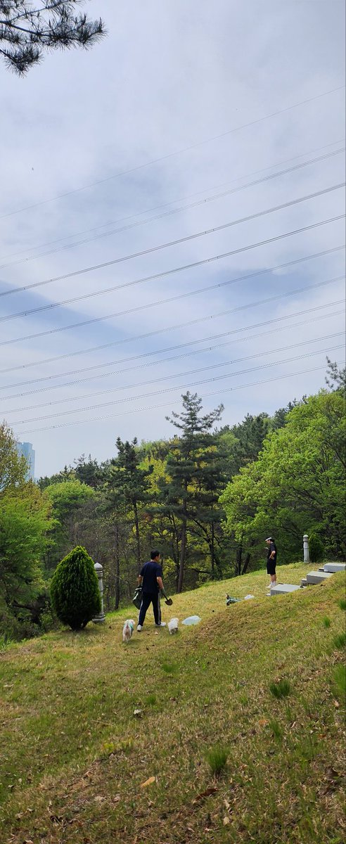 sunny🐶☕️⚘️ tweet media