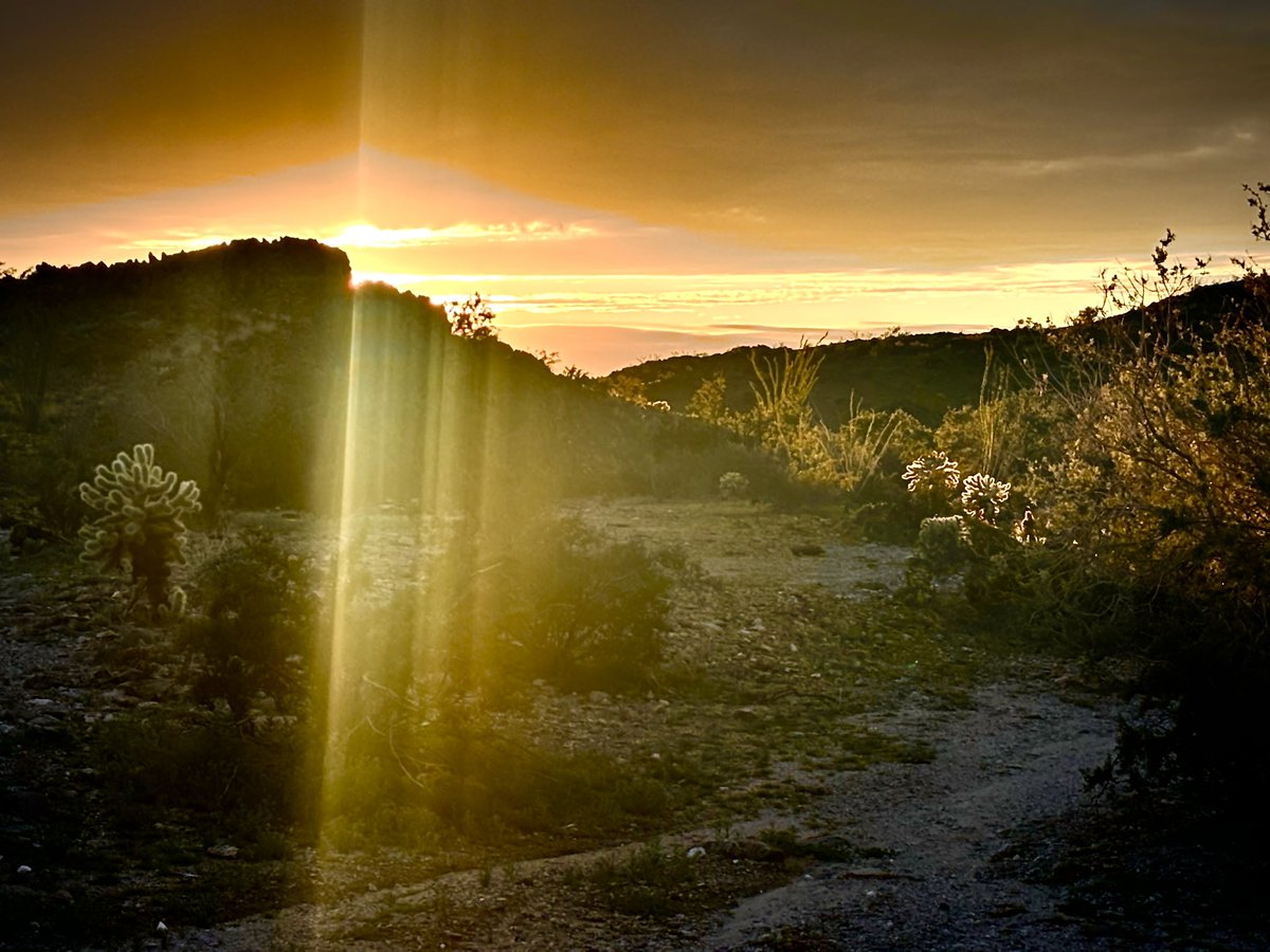 Earthship Danu tweet media