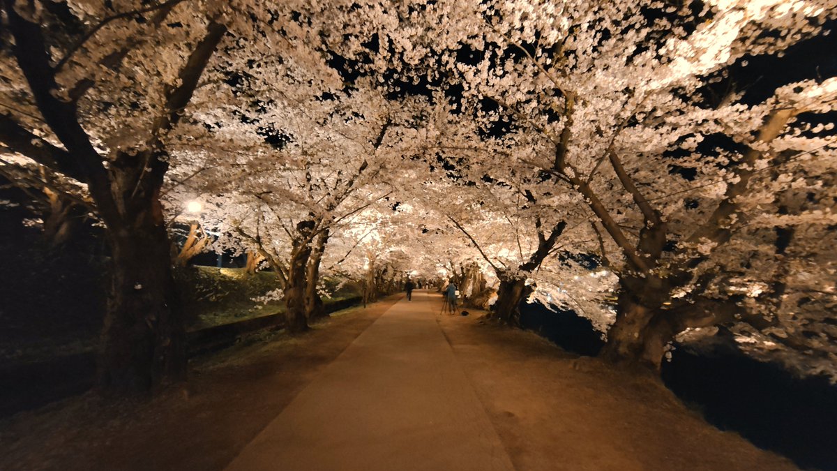 Lordphenomtaker's tweet photo. 今年も遠い出張の地にて https://t.co/QP1IWlyvkm