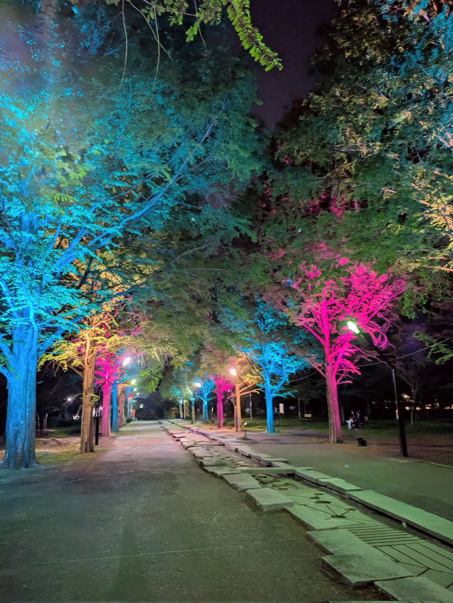 도모미（ともみ） tweet media