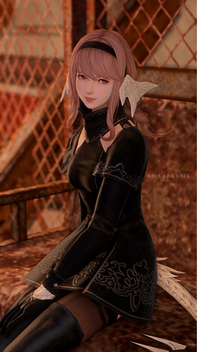 Mii🕊️ tweet media