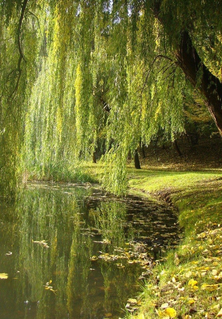 The crafts tweet media