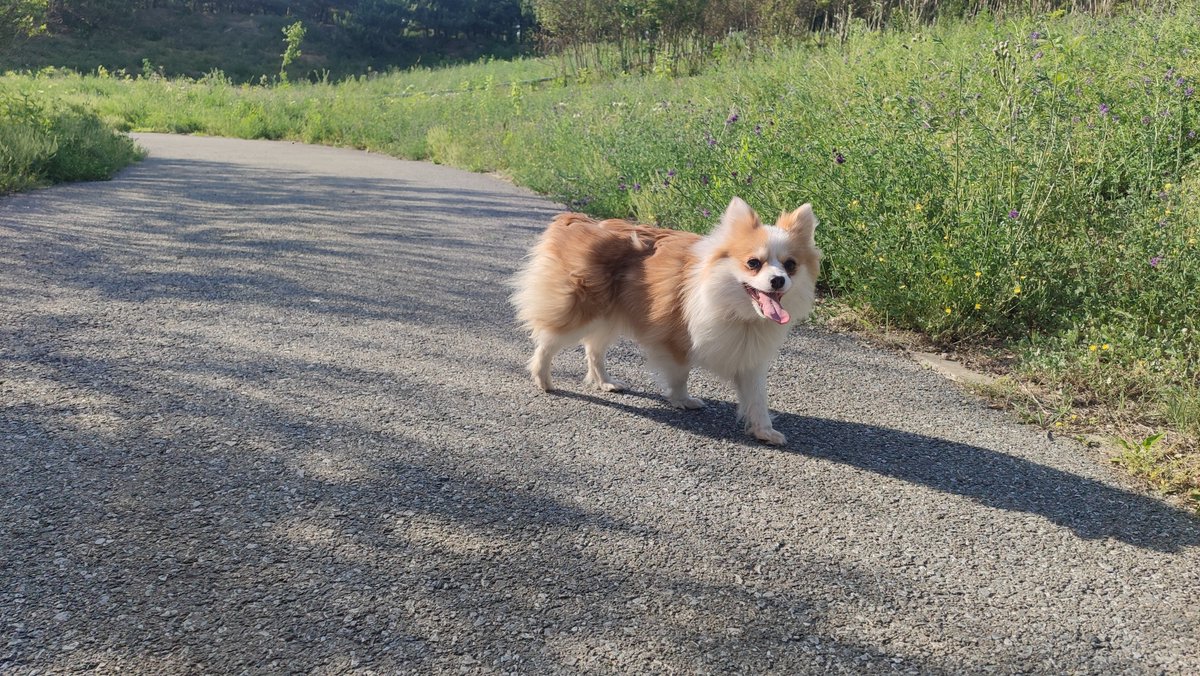 Lorie Ott tweet media