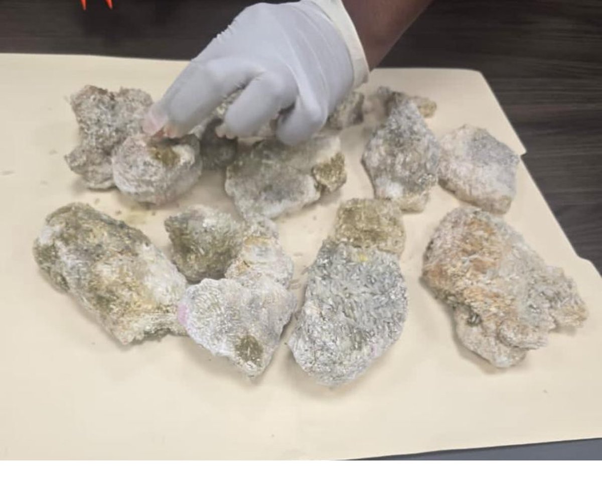 Radio Télé Métronome tweet media