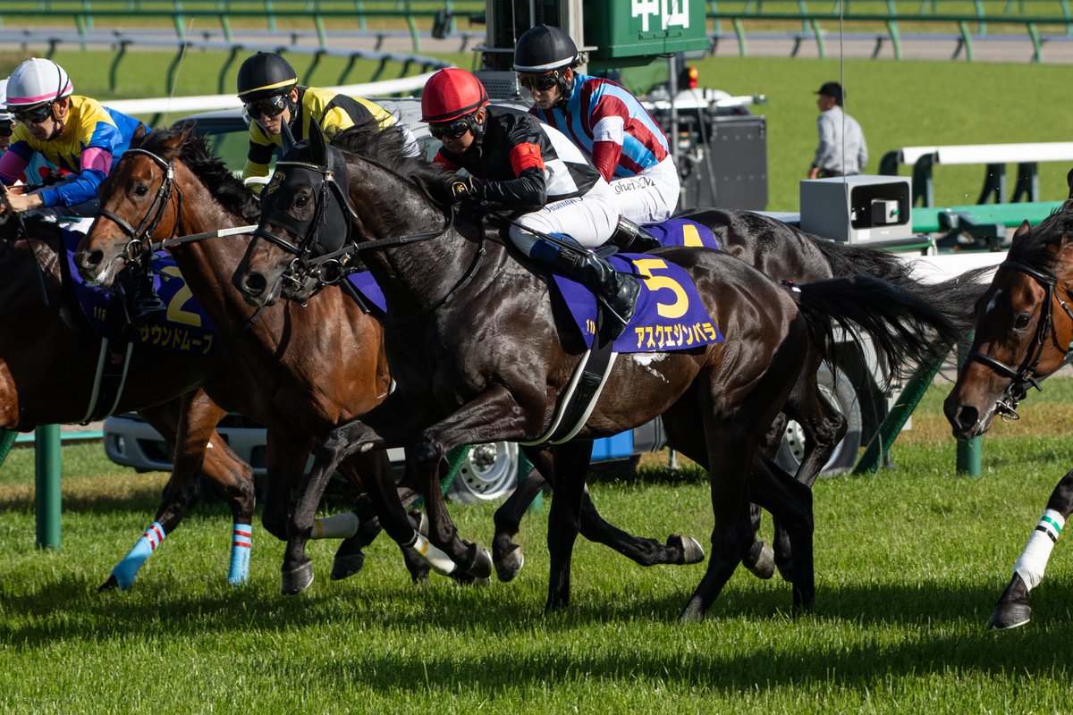 しえる tweet media