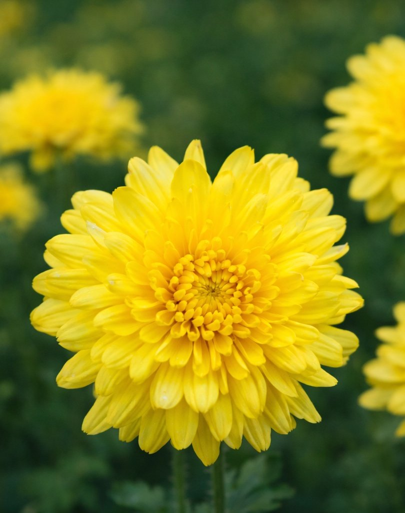 AP 🏔️ ☀️ tweet media