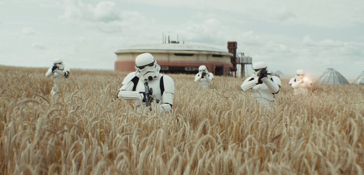 Mike Carolla tweet media