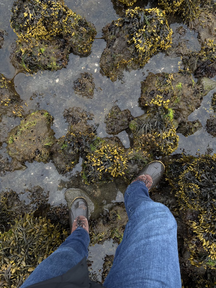 ᴄʜʀɪs 🐳 tweet media