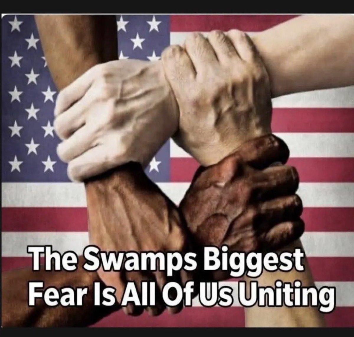 Sestina03's tweet image. We the people….
#constitution #power #republic #law