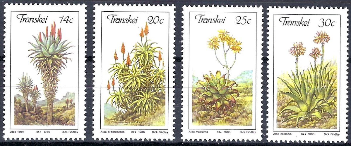 filatelicly's tweet image. Good afternoon everyone 🌤️🌷
Transkei - I wish you all a sunny Sunday!
#stampcollecting #stamps #timbres #francobolli