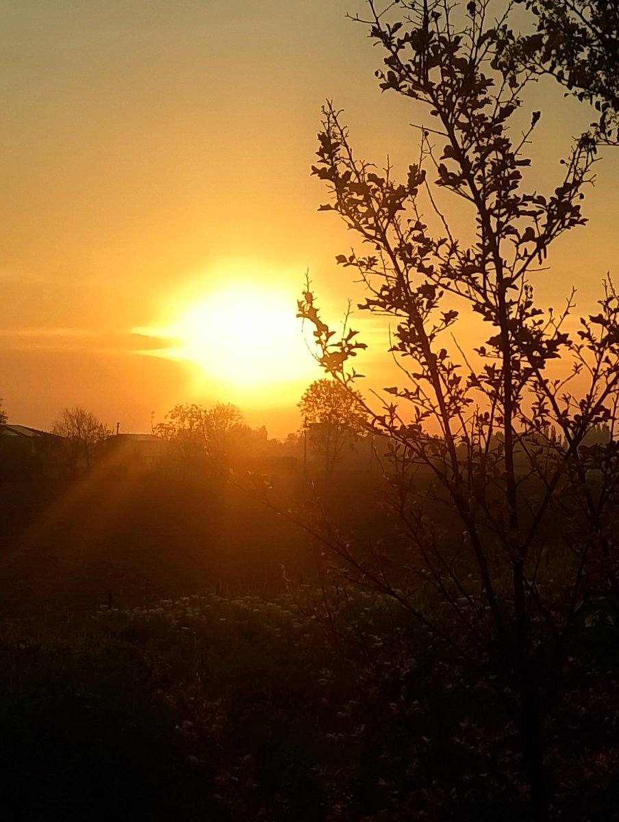 angelicaio81153's tweet image. A fantastic sunset scene suggests that the journey is just as beautiful as the  destination , transforming a commute into a moment of wonder . 🌤️

Way Home Golden Sunset , Countryside Romania 
#artistic #landscape #photography