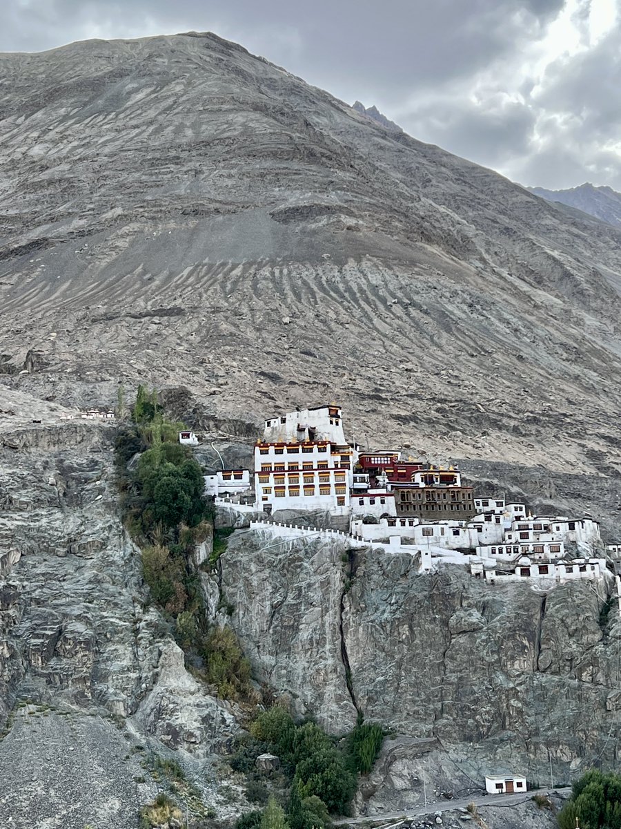 Gerald kara tweet media