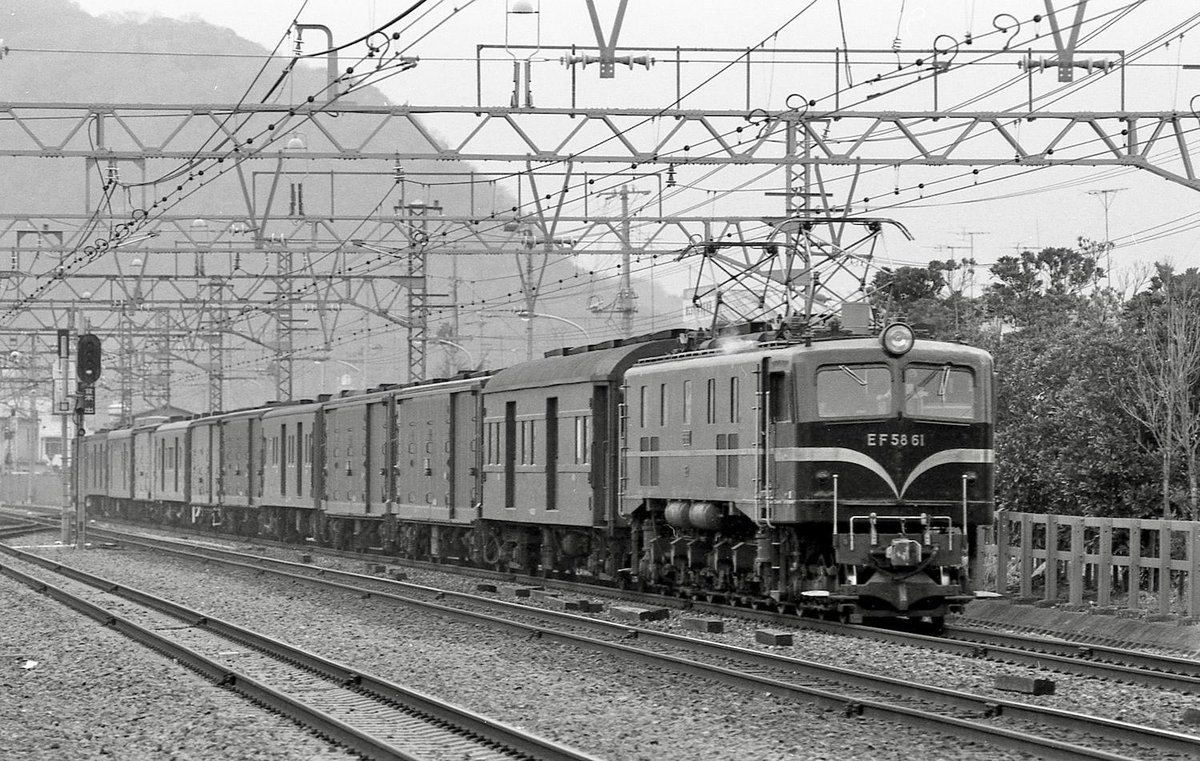 サロマニア tweet media