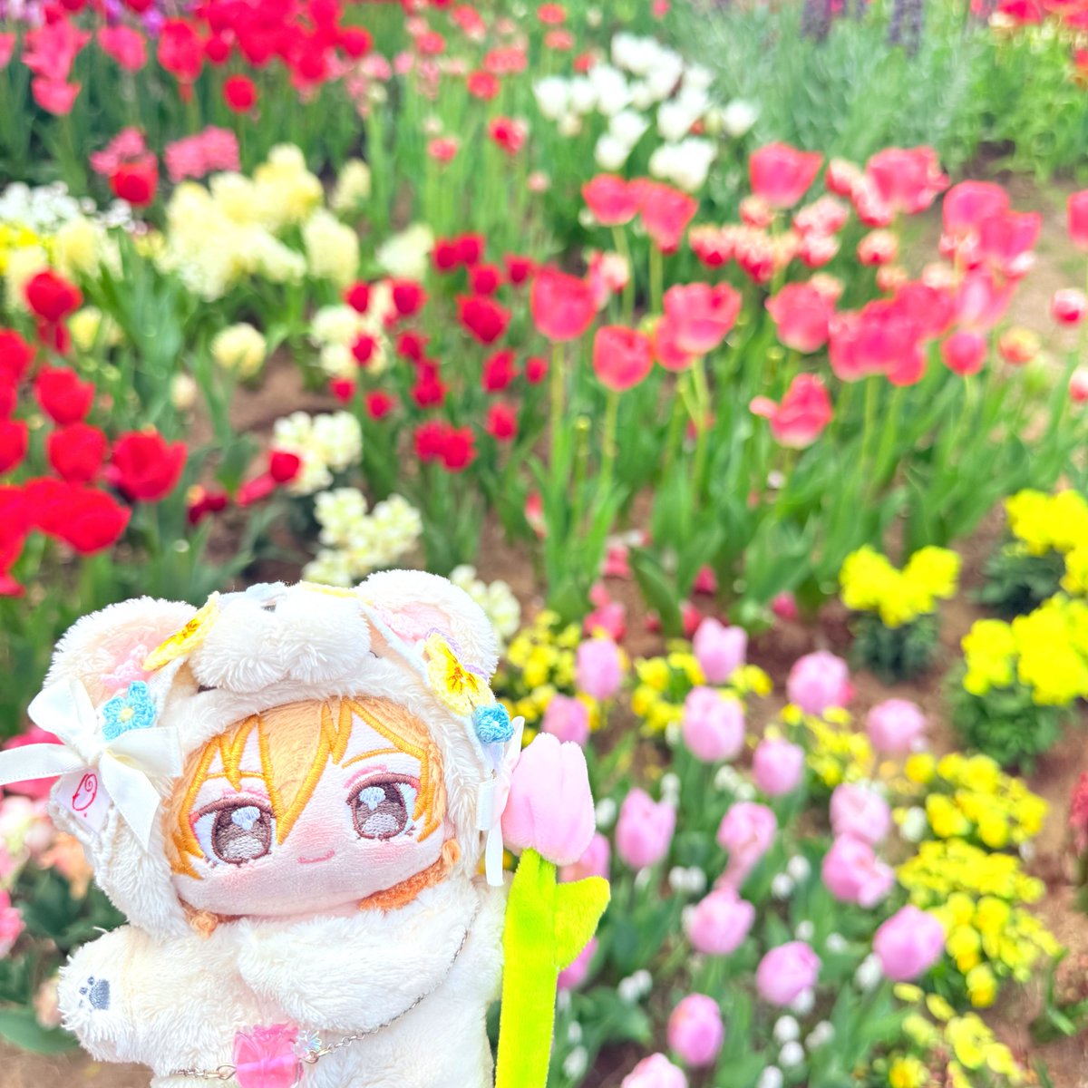 𝚔𝚊🥞 tweet media